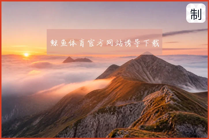 鲸鱼体育官方网站诱导下载