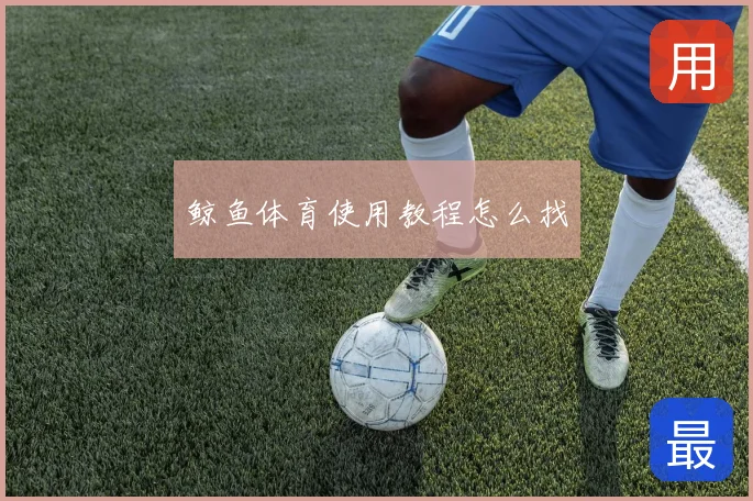 鲸鱼体育使用教程怎么找