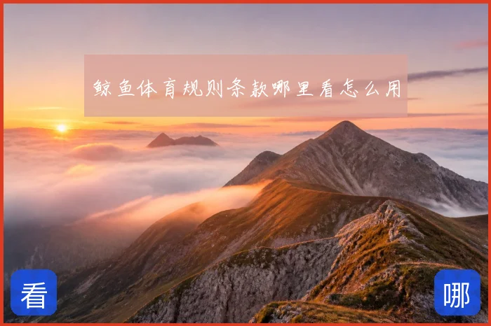 鲸鱼体育规则条款哪里看怎么用